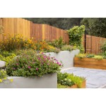 Методы адаптации благоустройства в засушливых районах Средней Азии