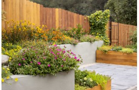 Методы адаптации благоустройства в засушливых районах Средней Азии