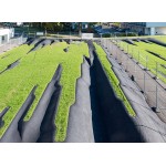 Геопластика в благоустройстве дворовых и парковых территорий — инструмент устойчивого и функционального ландшафтного дизайна